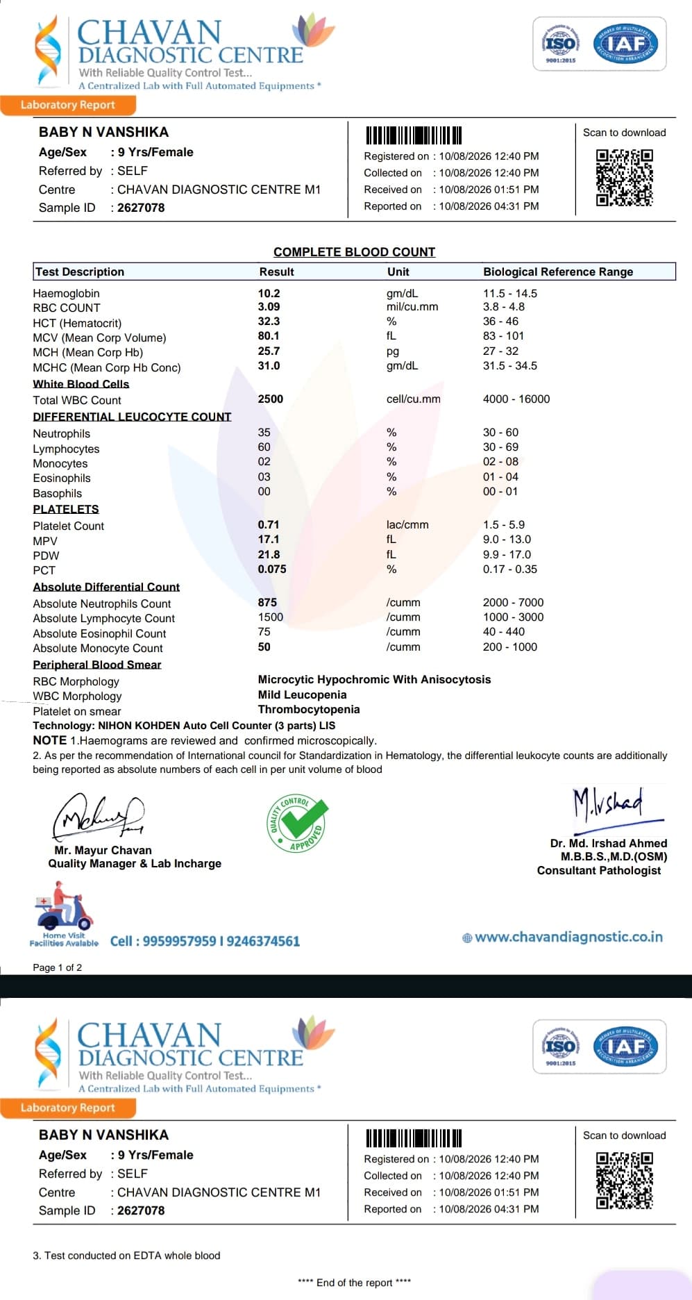 document 1