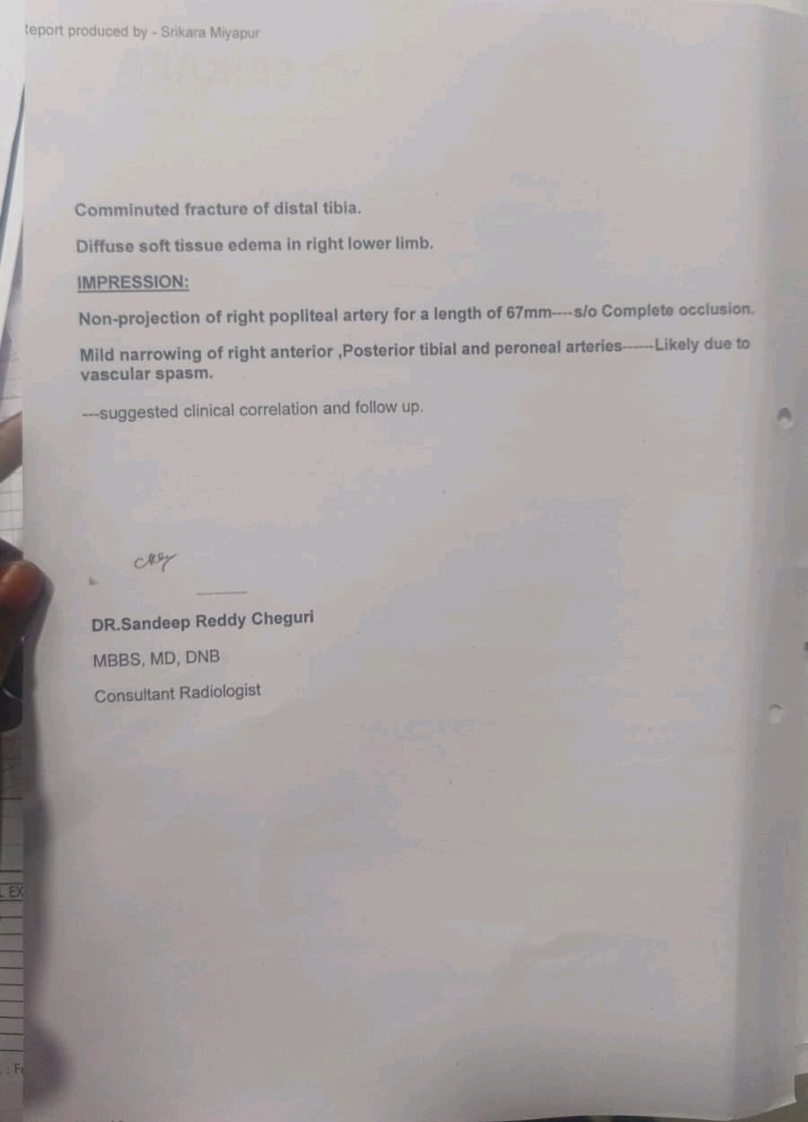document 3